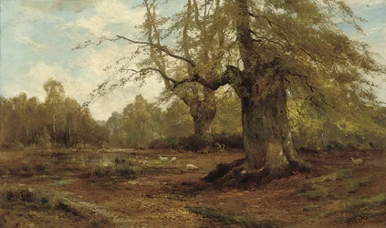 Burnham Beeches, Herfst